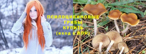 кокс Алексин