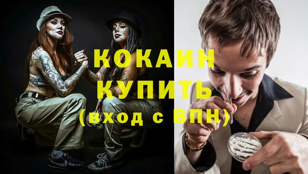 кокс Алексин