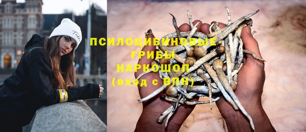 кокс Алексин