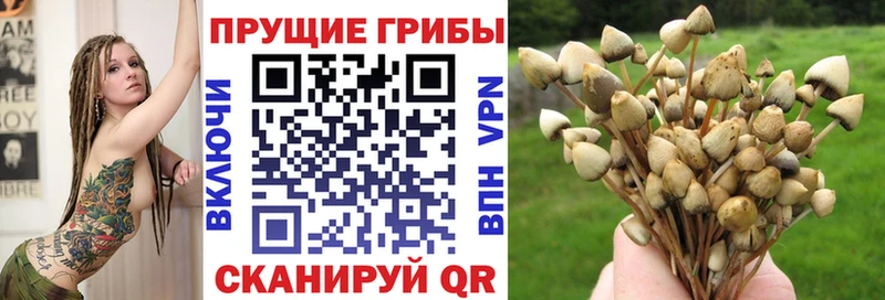 Галлюциногенные грибы мухоморы  blacksprut зеркало  Дзержинск 