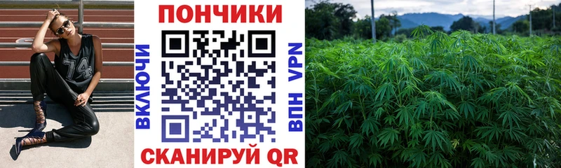 Шишки марихуана конопля  Дзержинск 